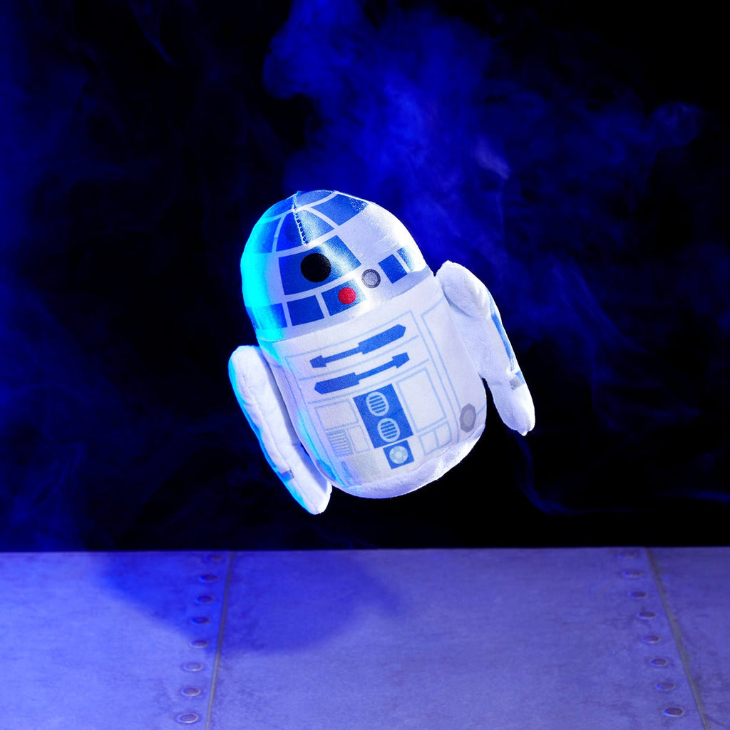 The Droid You're Looking For Plush 2-in-1 + Fetch Dog Toy
