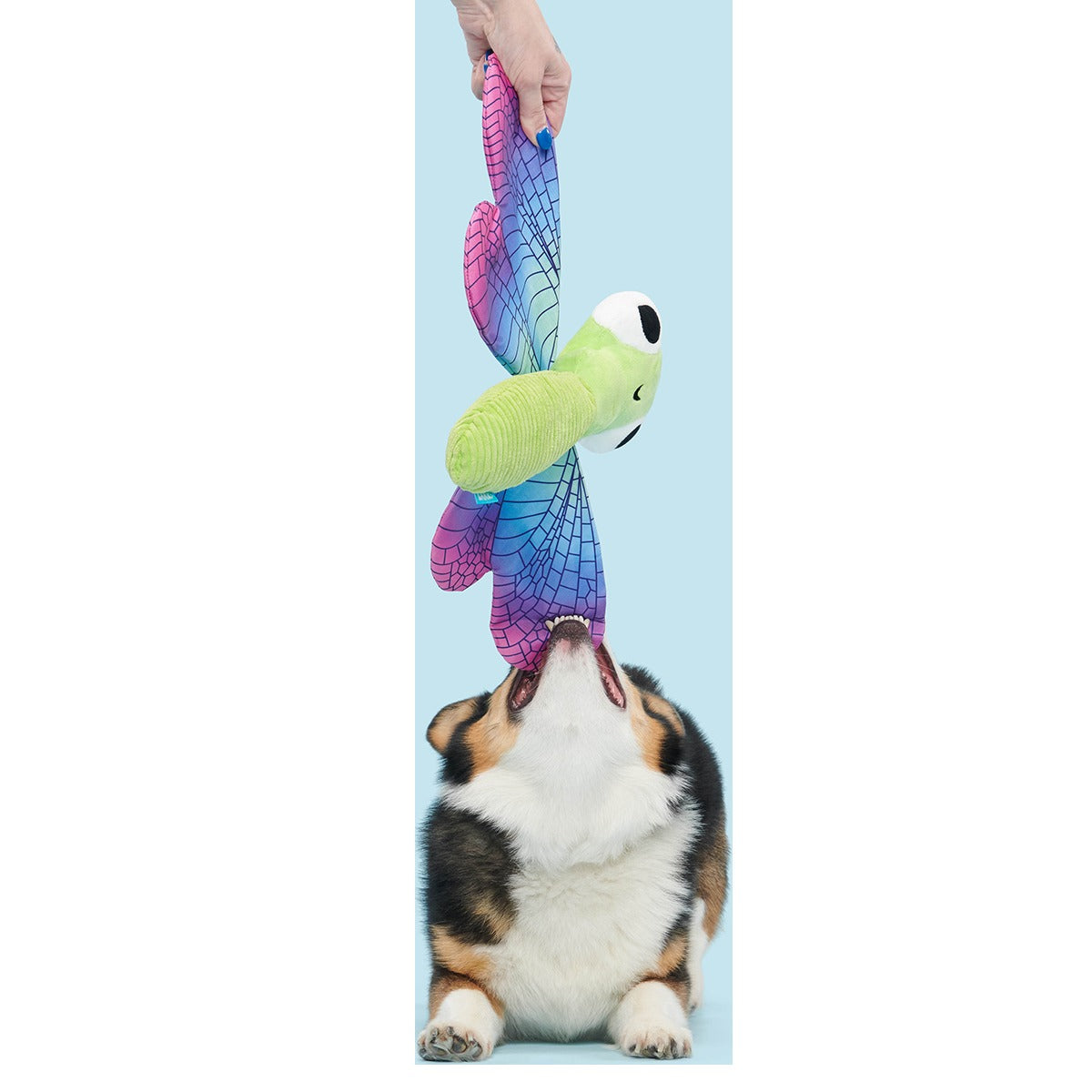 Dragonfly Guy Plush Extra-Large + Tug Dog Toy