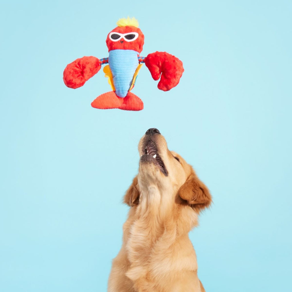 Brock Lobster Plush Tug Dog Toy