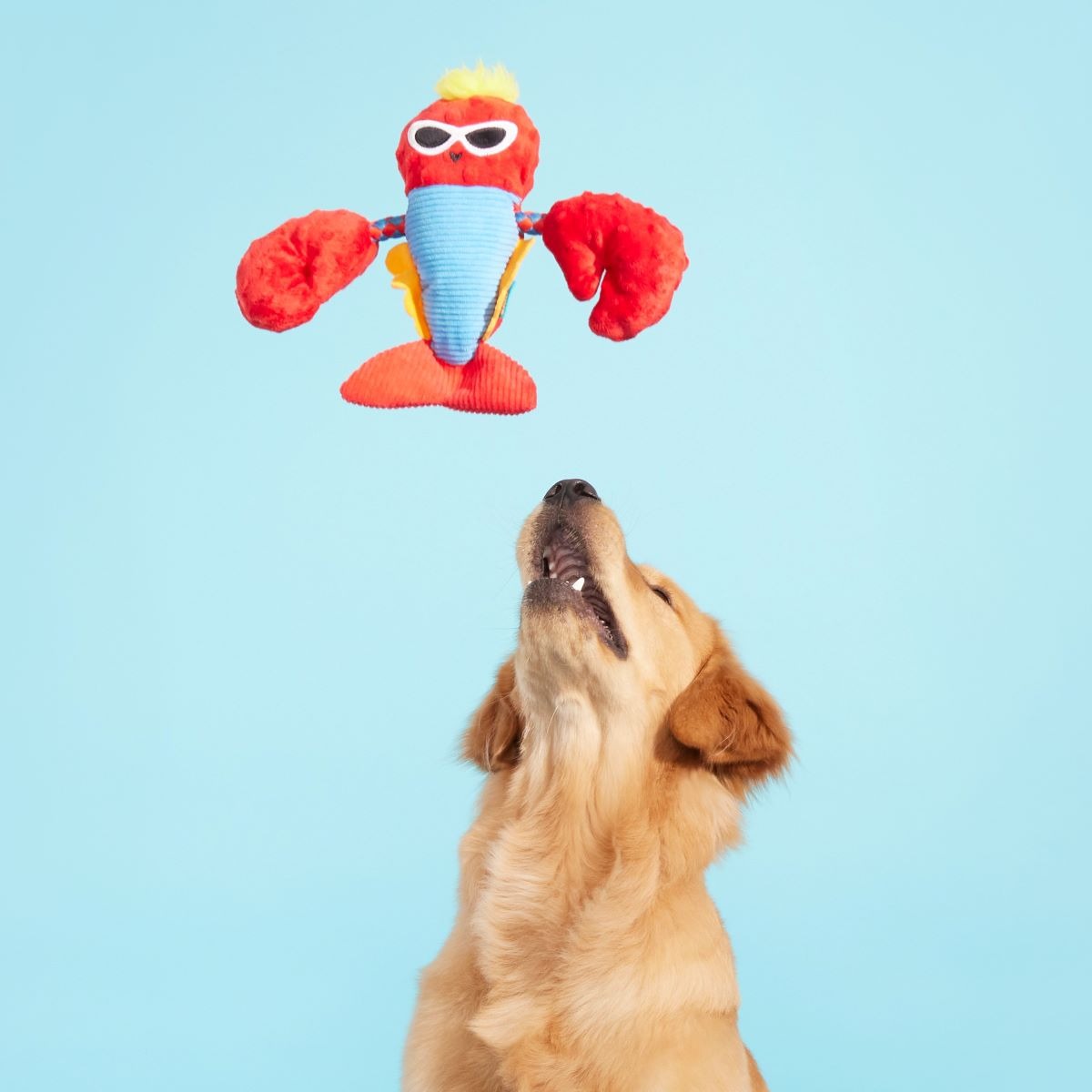Brock Lobster Plush Tug Dog Toy