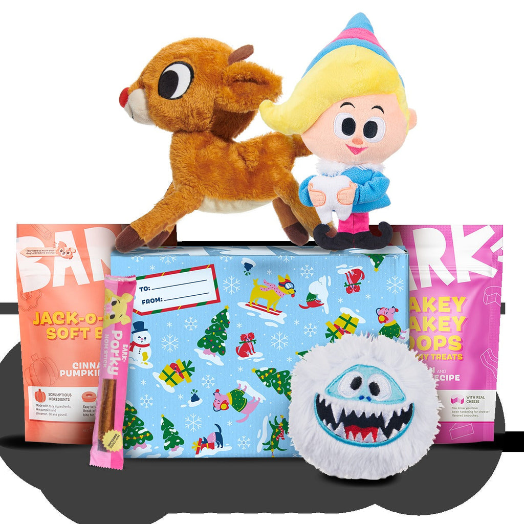 Rudolph® Holiday Gift BarkBox