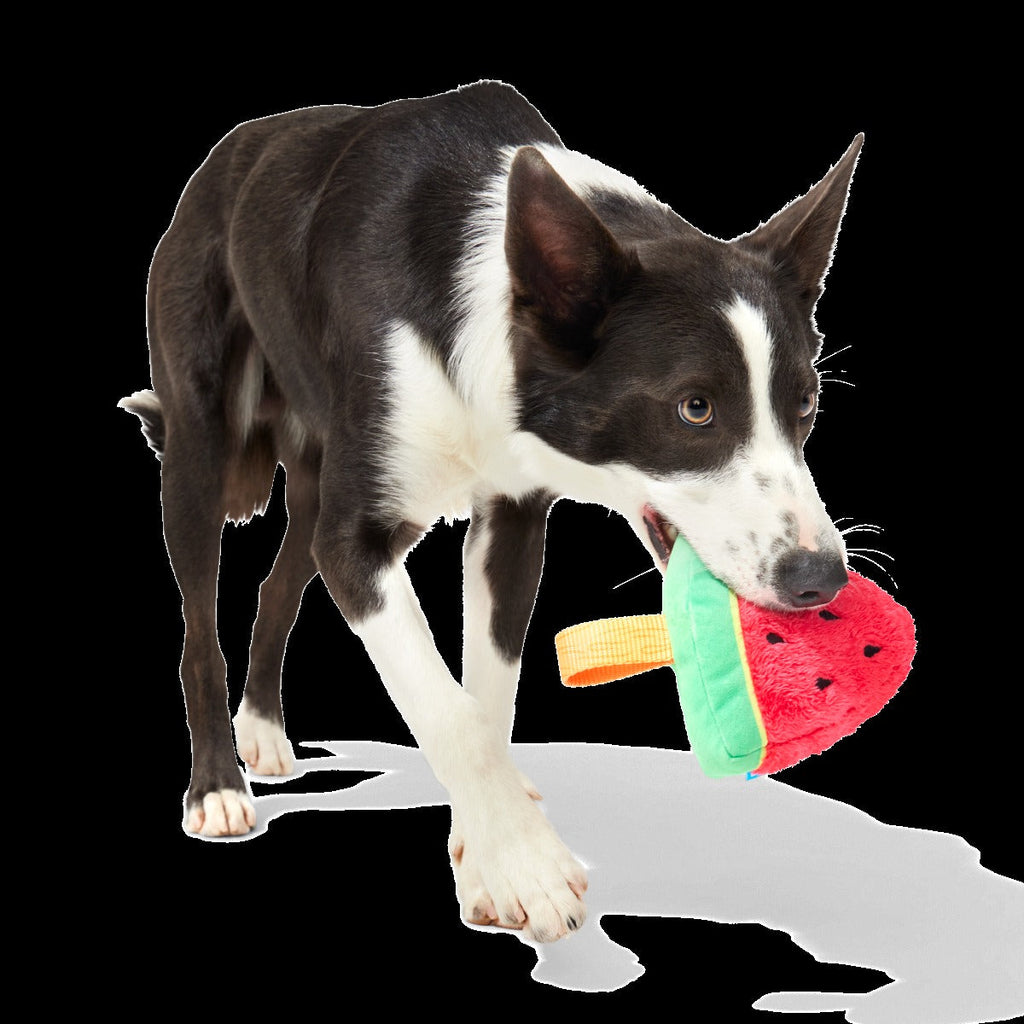 Slobbermelon Pop Plush Tug Dog Toy