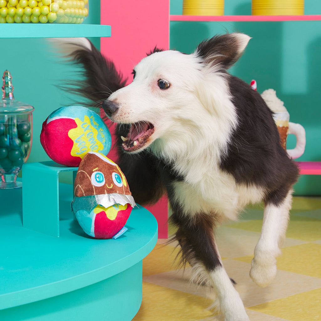 Cadfurry Eggs Plush Multi-Part + Fetch Dog Toy