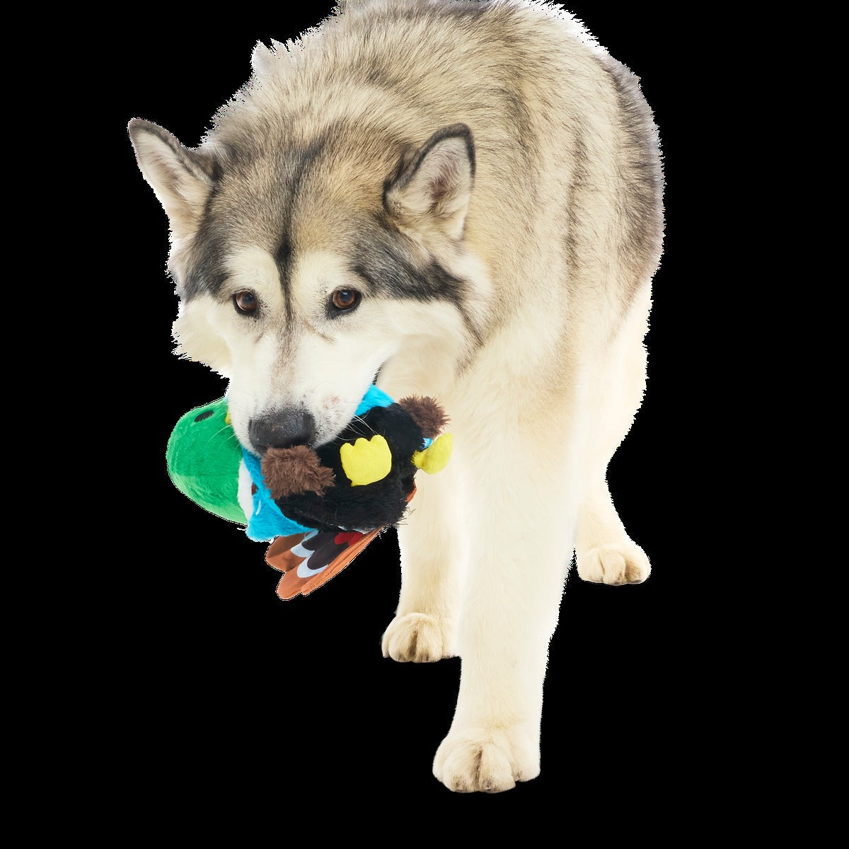 The Pecking Order Plush Multi-Part Dog Toy