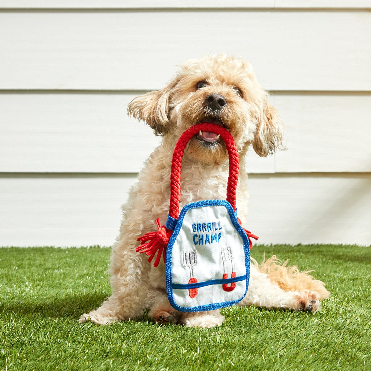 Grrrill Champ Apron Plush Tug + Wearable Dog Toy