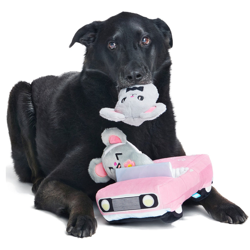 Mister and Mouses Plush Multi-Part Dog Toy