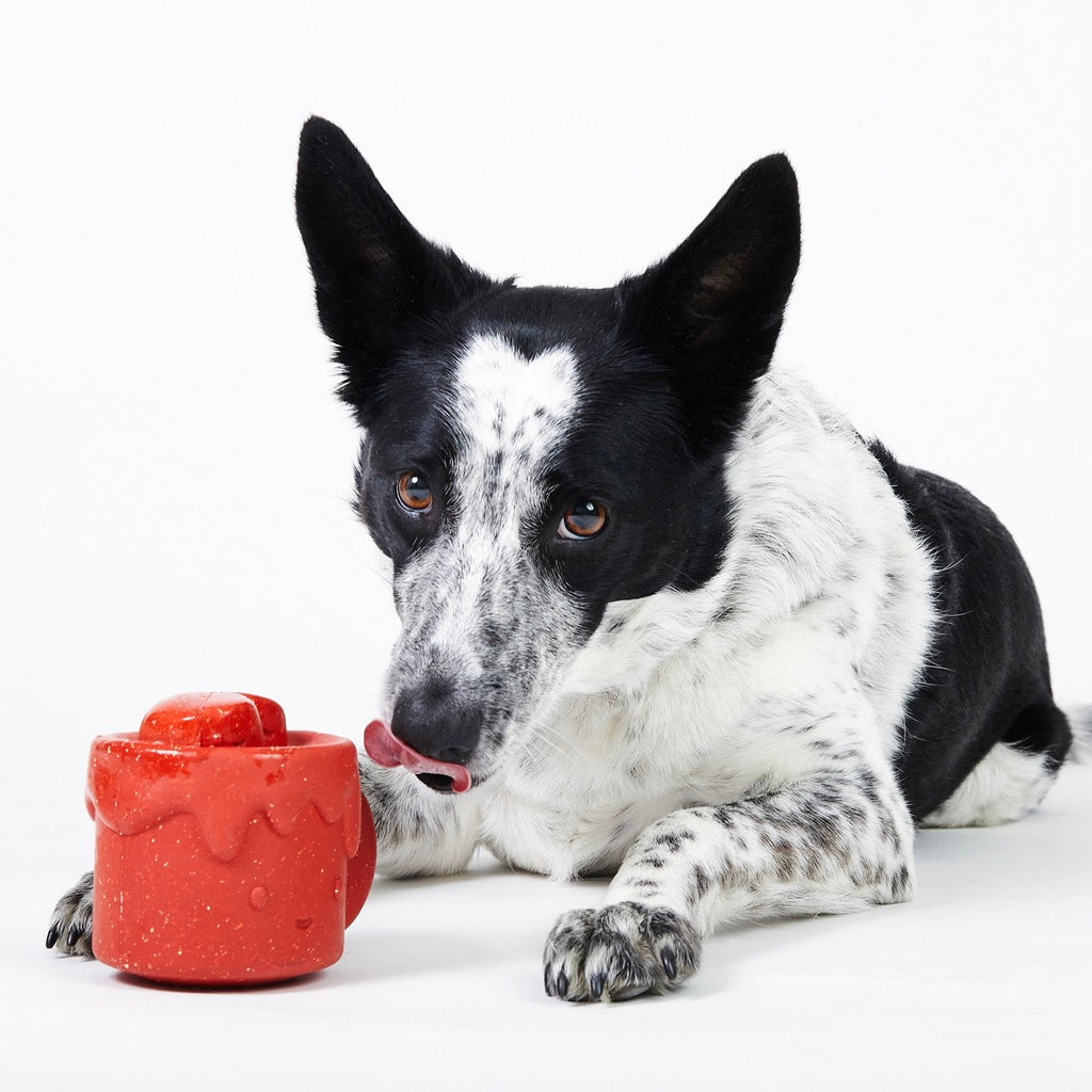 Meghan’s Mug of Cocoa Super Chewer Durable Enrichment Dog Toy