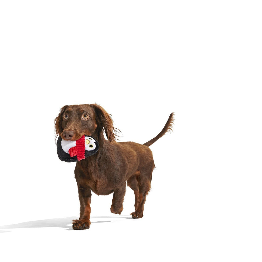 Friendguin Super Chewer Durable 2-in-1 Dog Toy