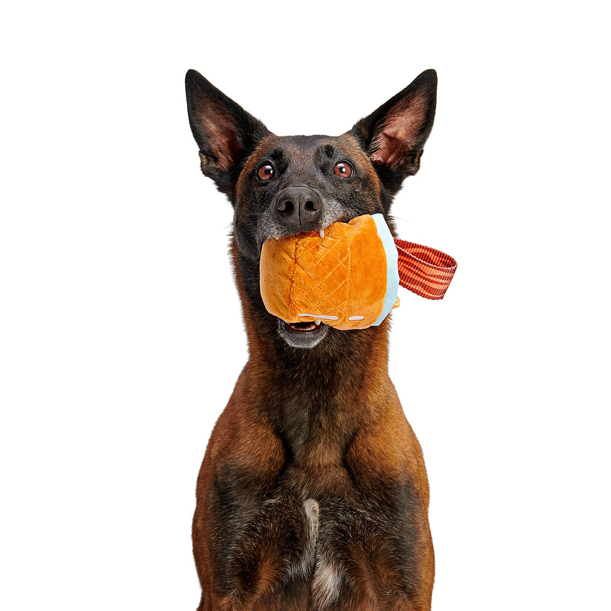 Cocktail Club, Plush Cocktail Monthly Dog Toys