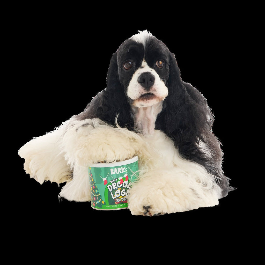 Drool Logs Beef Recipe Dog Treats, 8 oz