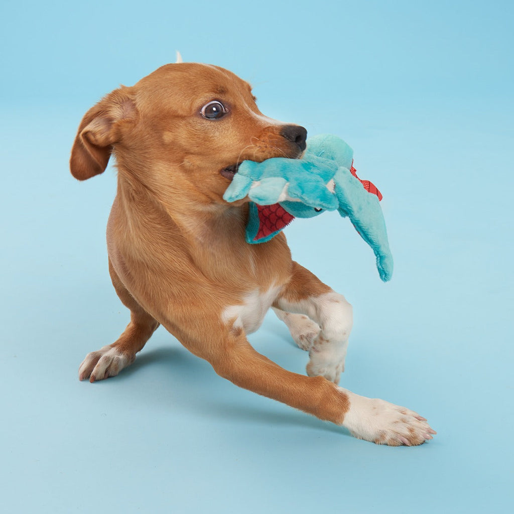 Grimbold the Dragon Plush Tug Dog Toy