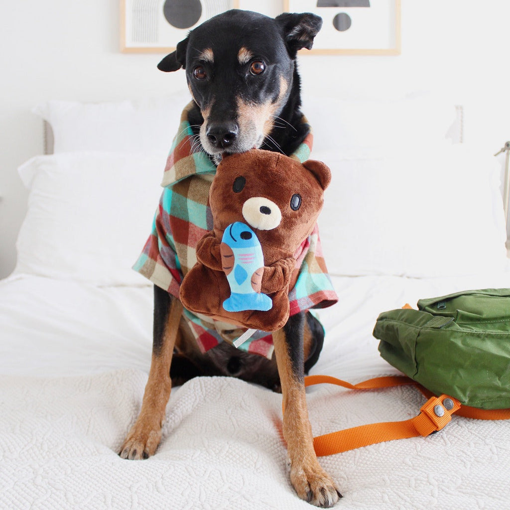 Izzy the Grizzly & Sal Plush Tug Dog Toy