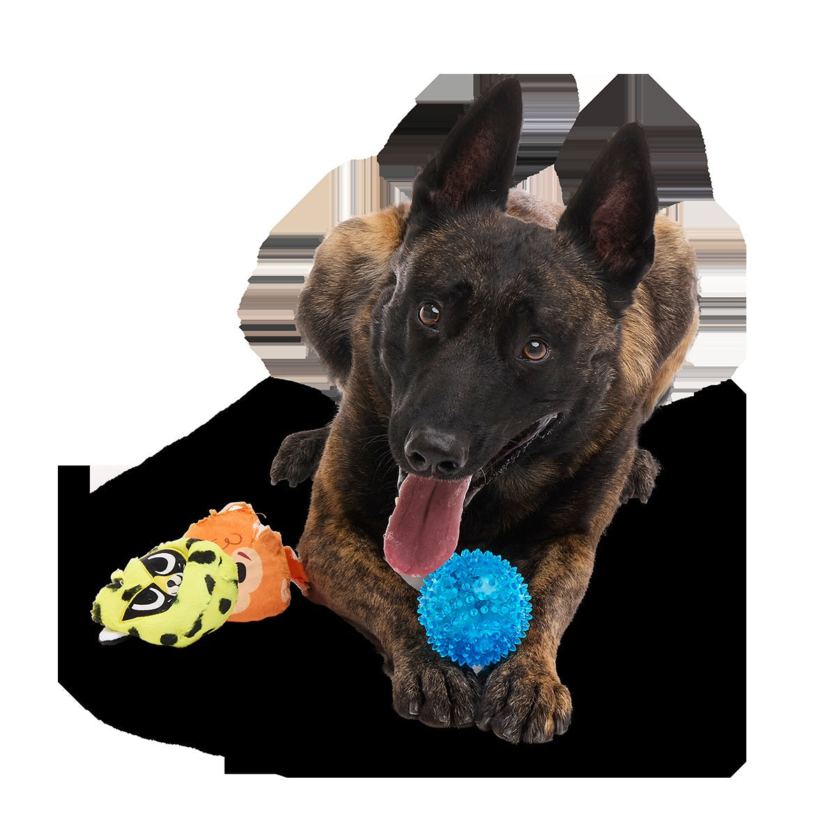 Duma Njaa Plush 3-in-1 + Fetch Dog Toy