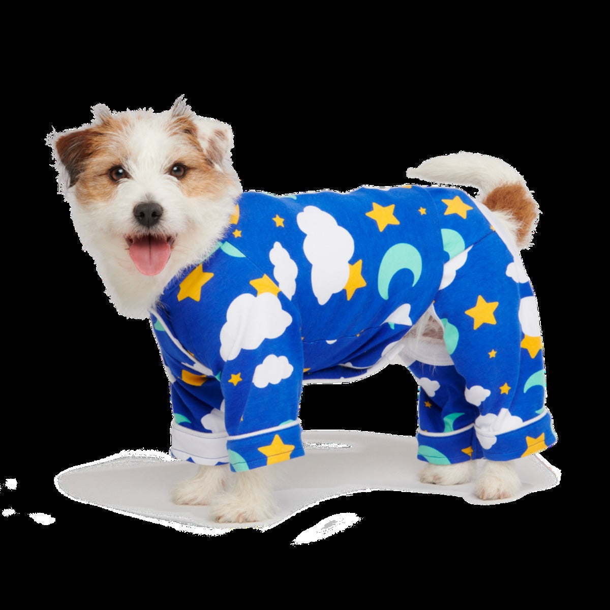 Slumber Party Dog Pajamas
