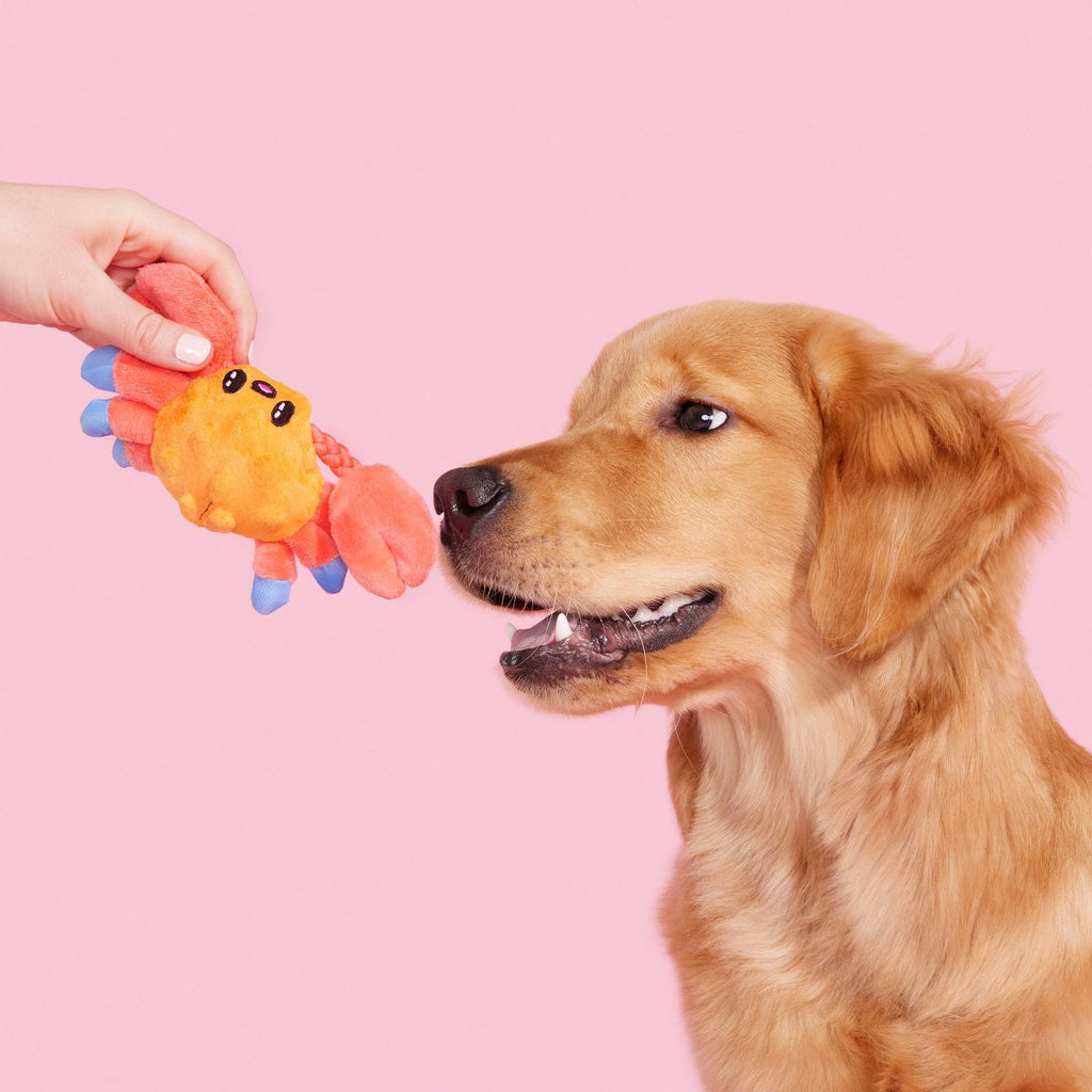 Sally Bitefoot Crab Plush Tug Dog Toy
