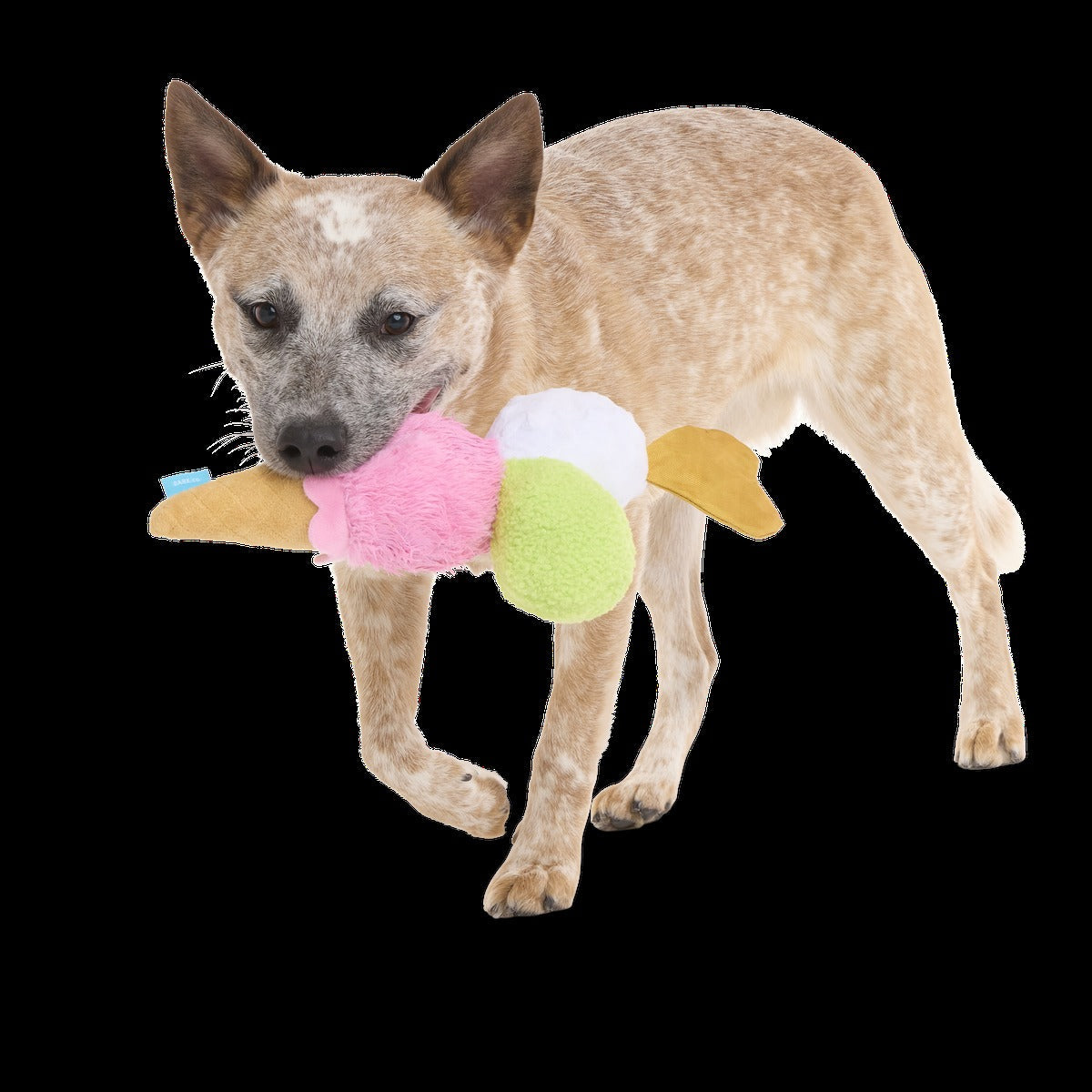 D'oggo Gelato Plush Tug Dog Toy