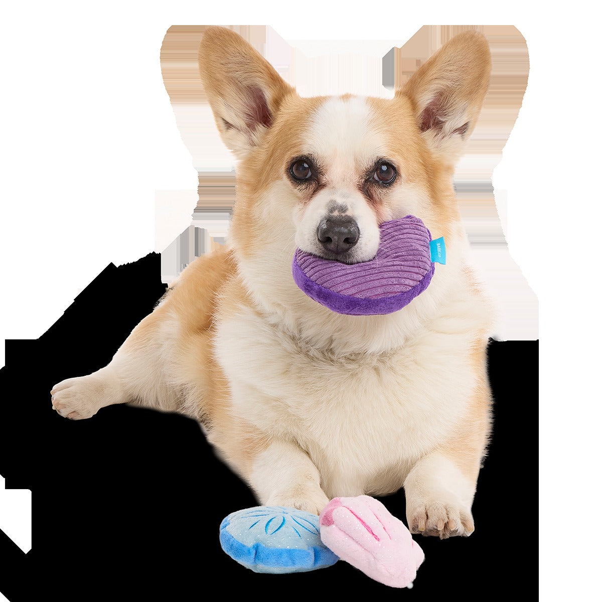 Fetchin' Squeakshells Plush Multi-Part Dog Toy