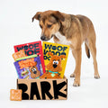 BARK 6 Month Subscription - Scooby-DooTM Double Deluxe First Box