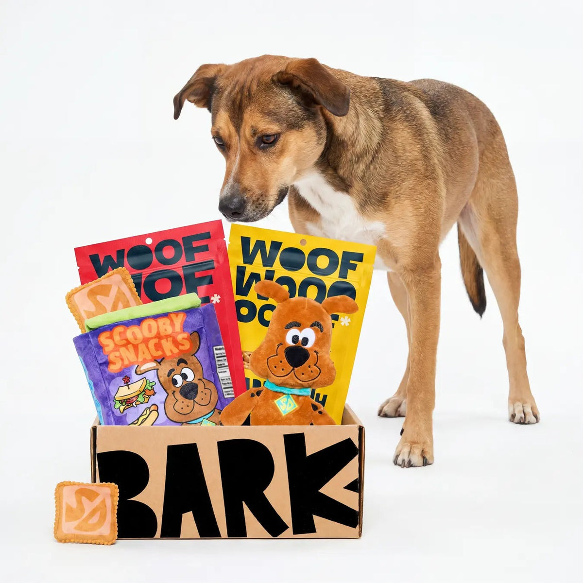 BARK 6 Month Subscription - Scooby-DooTM Double Deluxe First Box