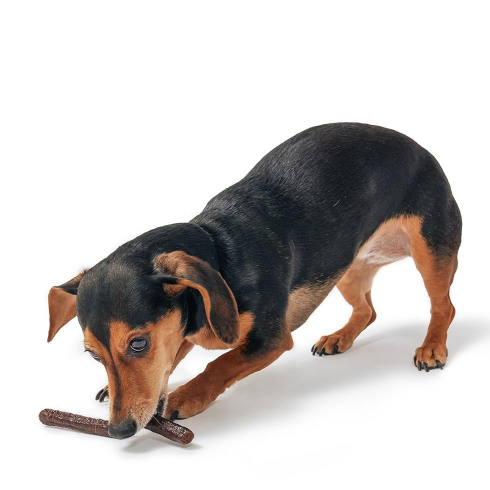 Duck Thinkers Stick Duck Soft & Chewy Dog Treats