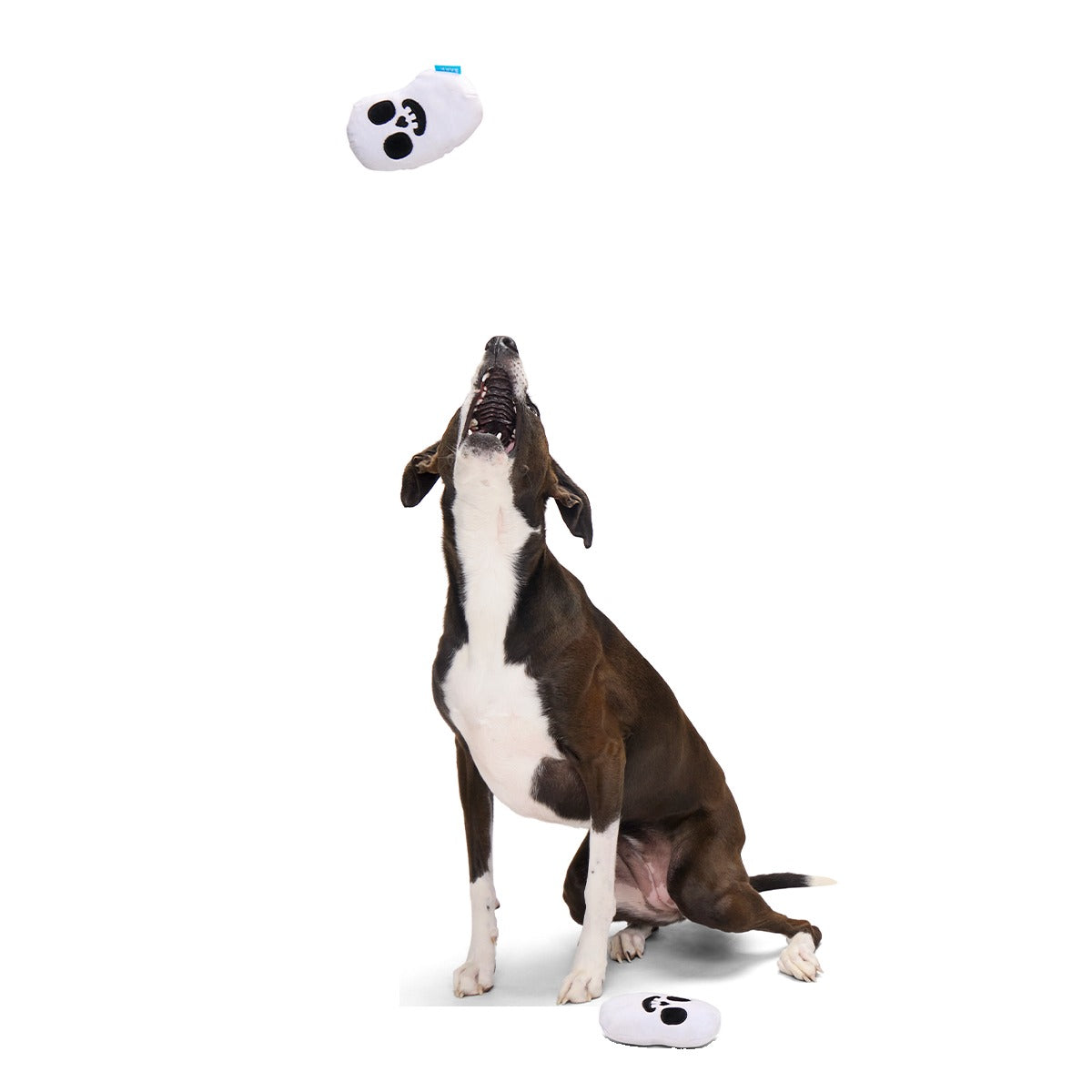 Re-Play Pack: Skelly Beans Plush Multi-Part Dog Toy