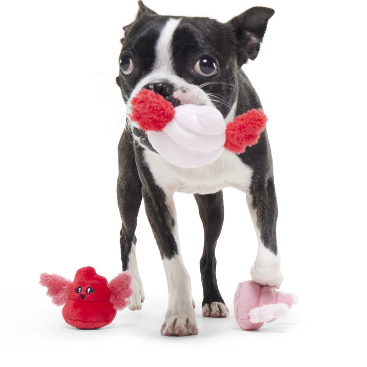 Poopids Plush Multi-Part Dog Toy
