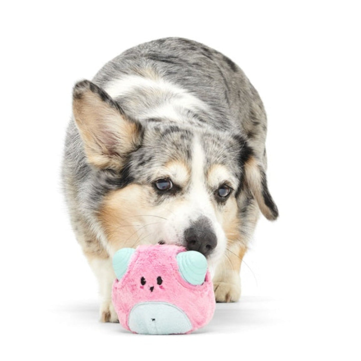 Lover Beast Super Chewer Durable 2-in-1 Rip and Reveal Dog Toy