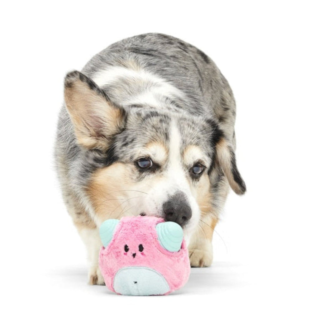 Lover Beast Super Chewer Durable 2-in-1 Rip and Reveal Dog Toy