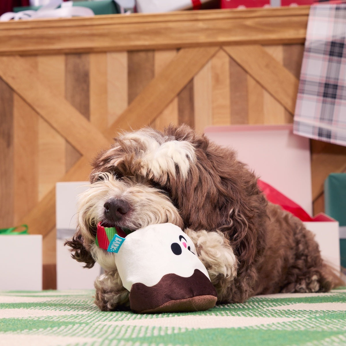Lil Bro-coa Tug Dog Toy