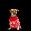 Holiday Sweater Wearable For Dogs