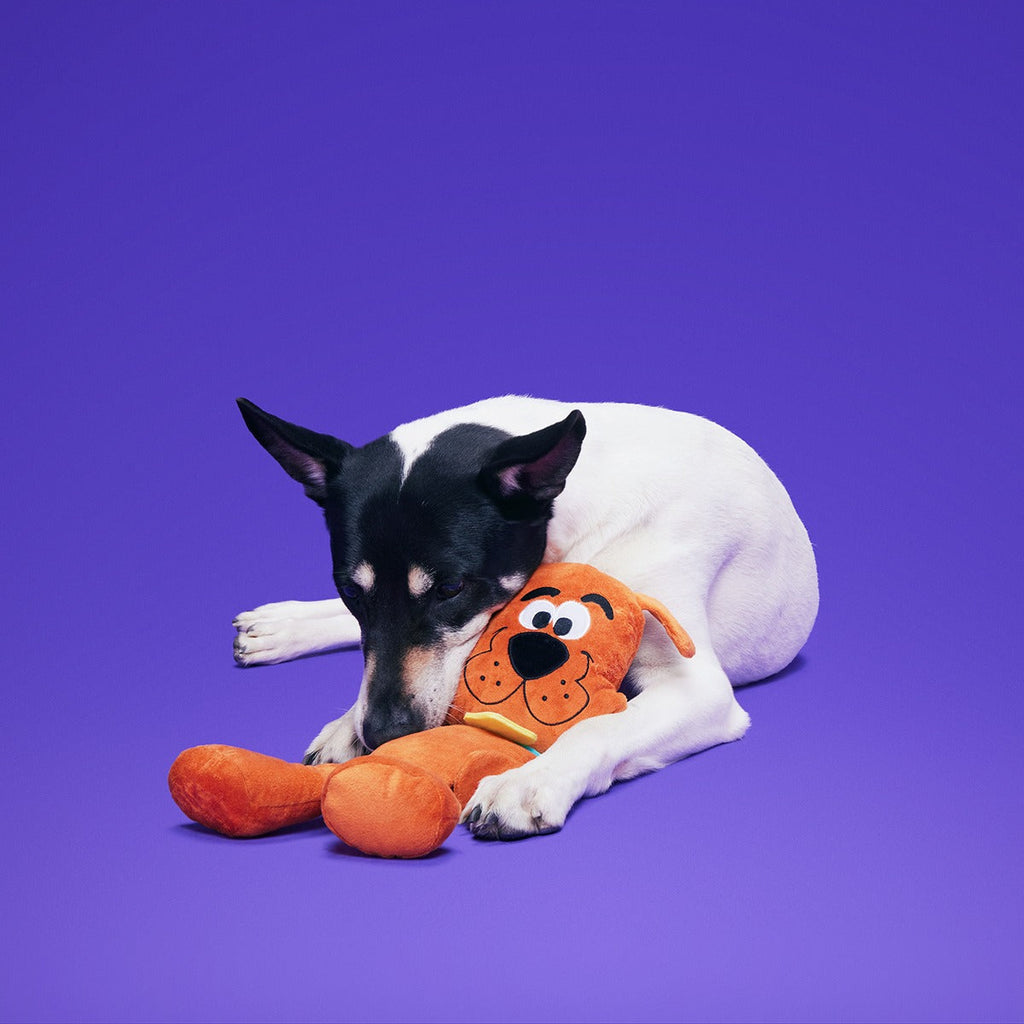 Scooby-Dooby-DooTM Plush Tug Dog Toy