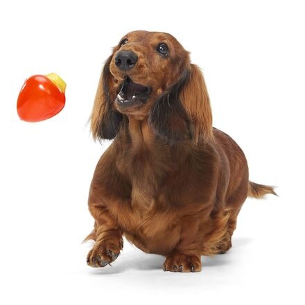 Squeak Every Bulb Durable Super Chewer Gnaw Dog Toy