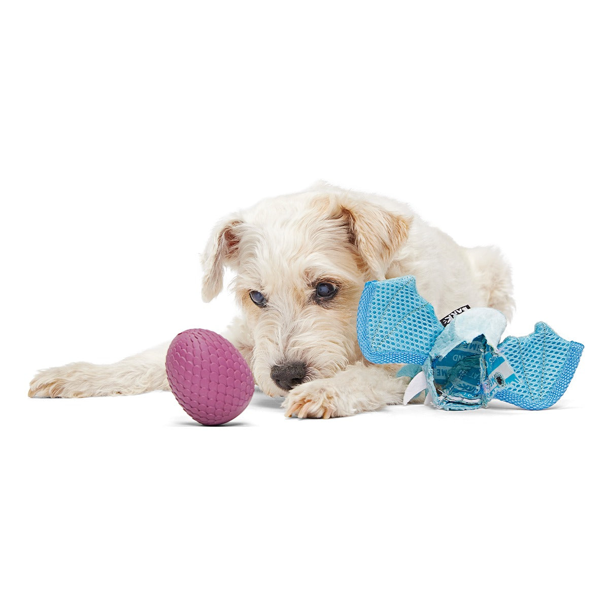 Brrrtha The Dragon Super Chewer Durable 2-in-1 + Tug + Fetch Dog Toy