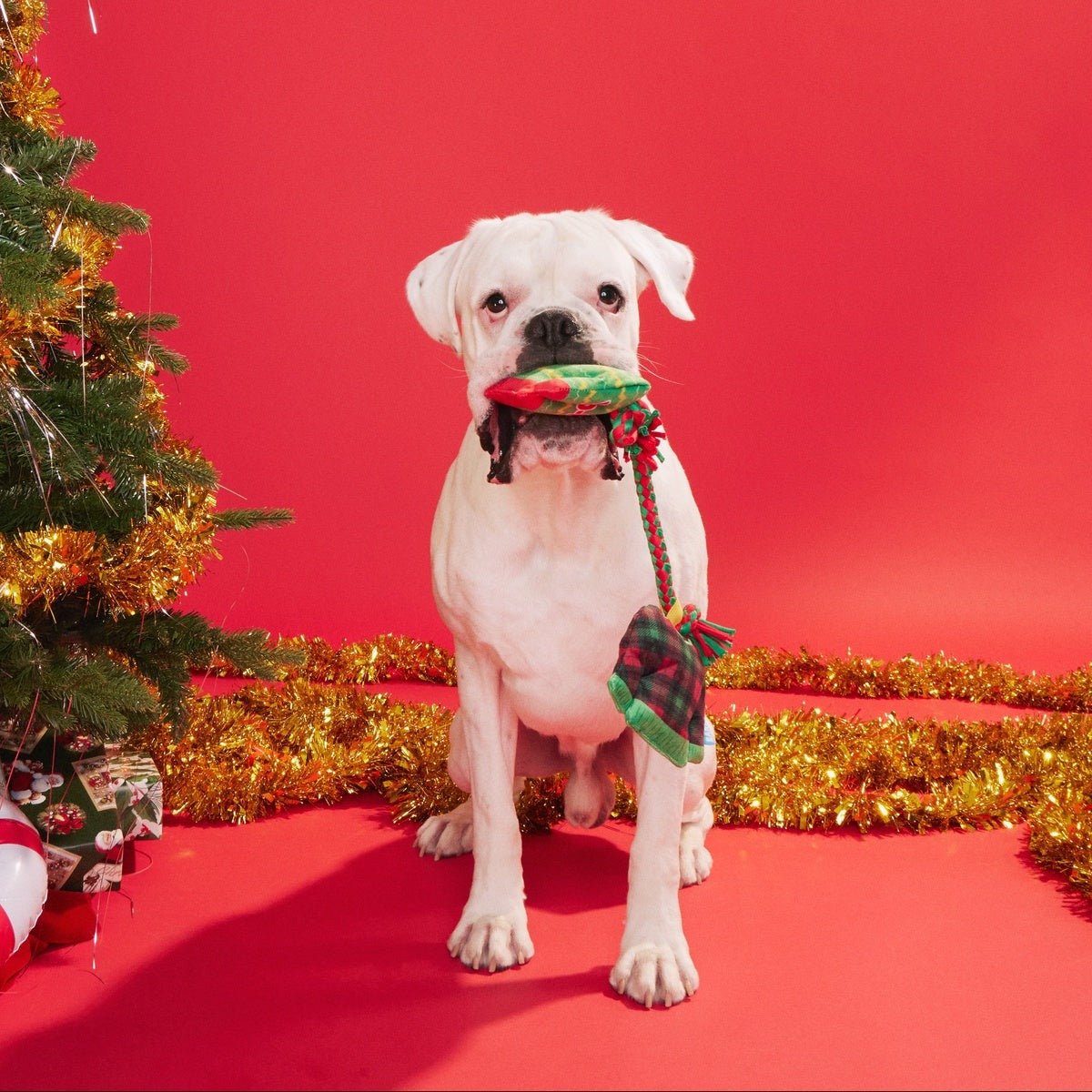 Christmutts Sweater Tug and Rope Plush Tug Dog Toy