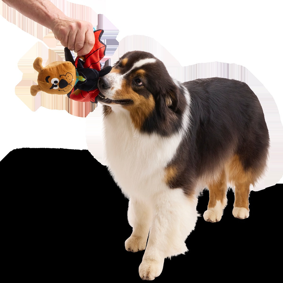 Count Scooby-Dooby-DooTM Plush Tug Dog Toy