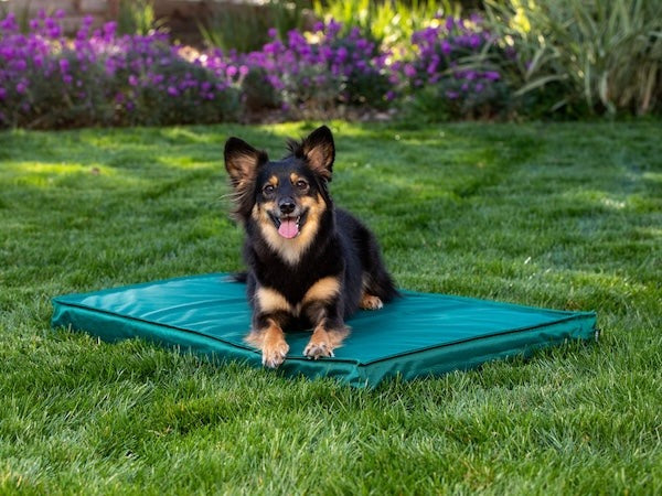 Outdoor Dog Bed