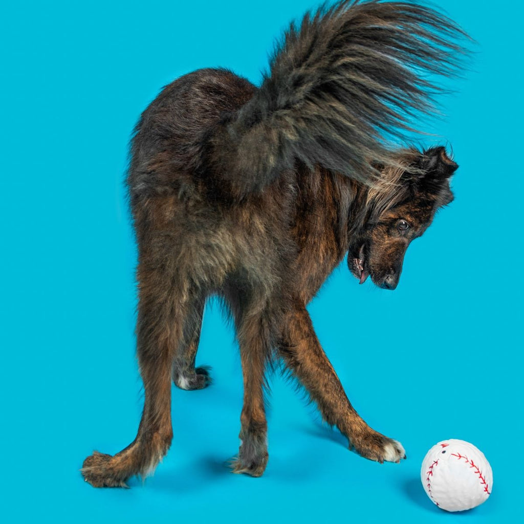 Major Lick Baseball Plush Fetch Dog Toy