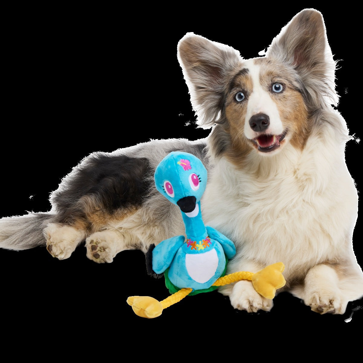 Lele the Nene Goose Plush Tug + Extra-Large Dog Toy