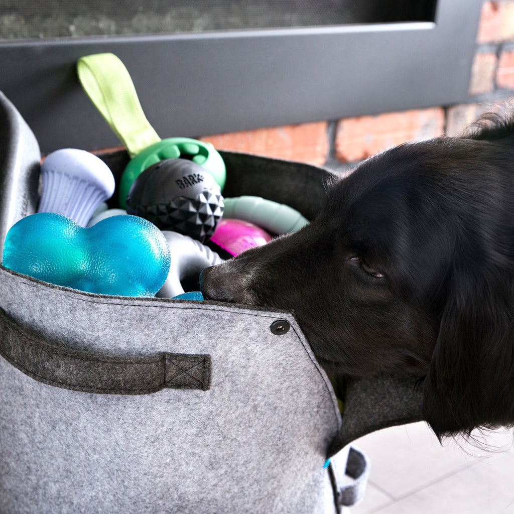 Felt Dog Toy Bin