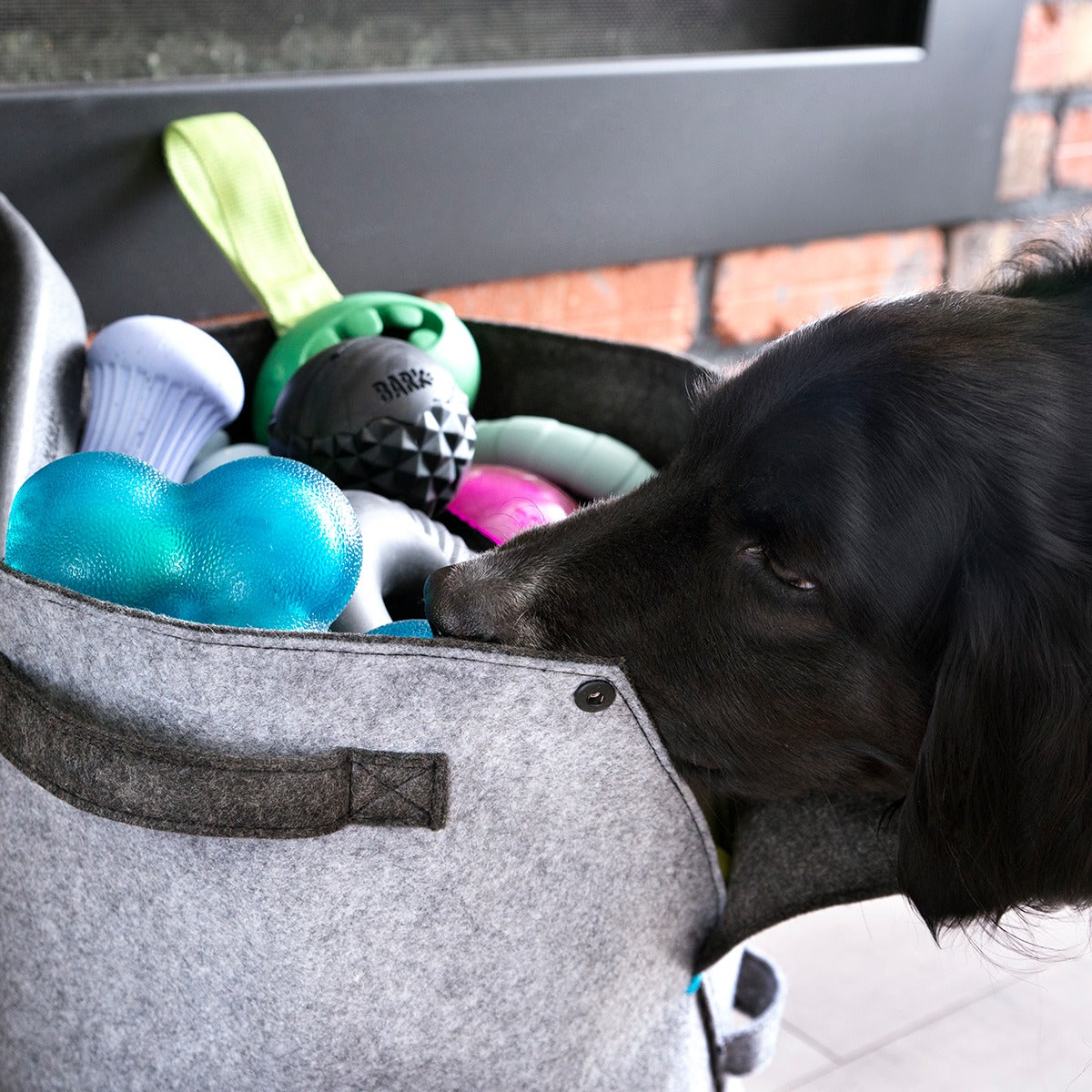 Felt Dog Toy Bin
