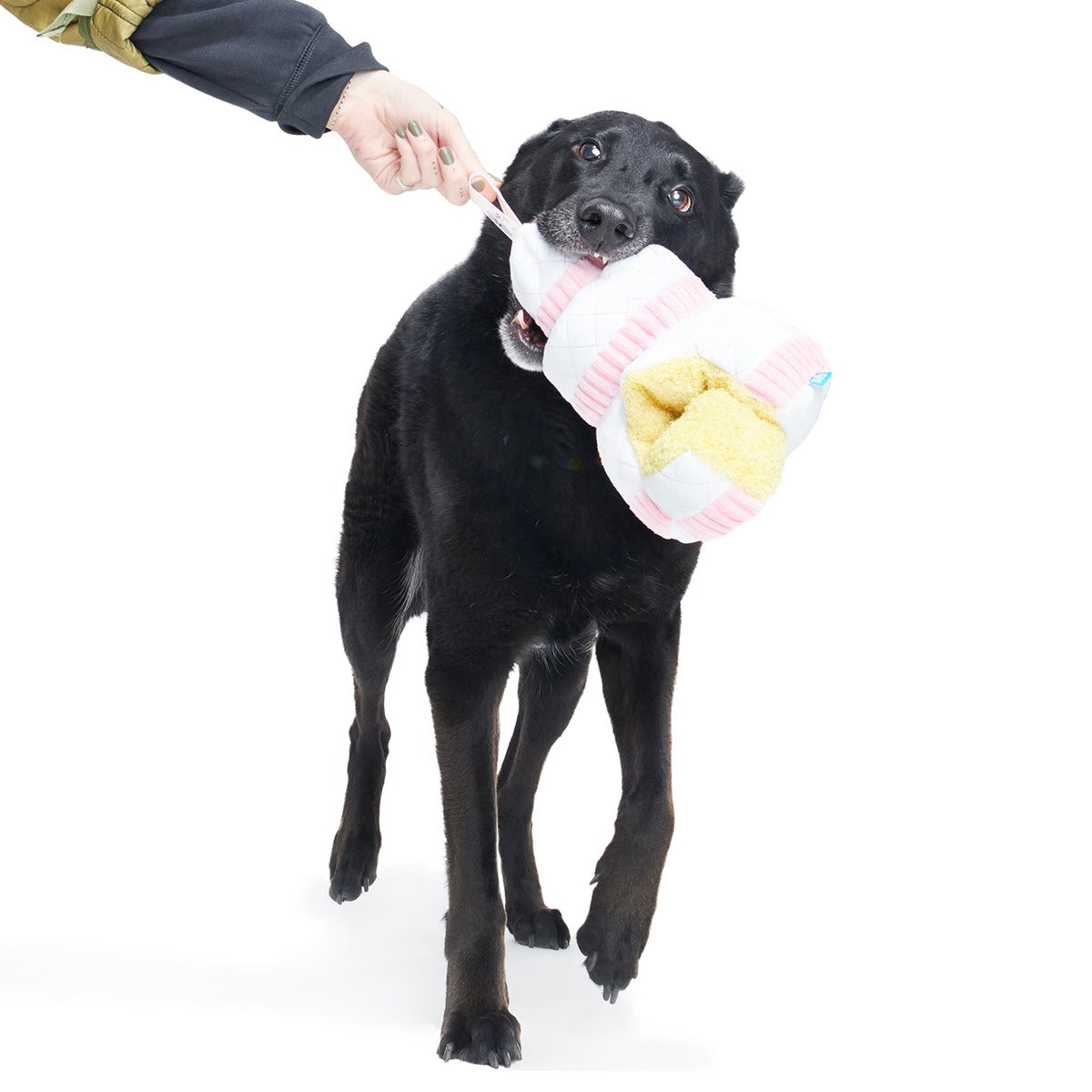 Holy Ratrimony Plush Multi-Part + Enrichment Dog Toy