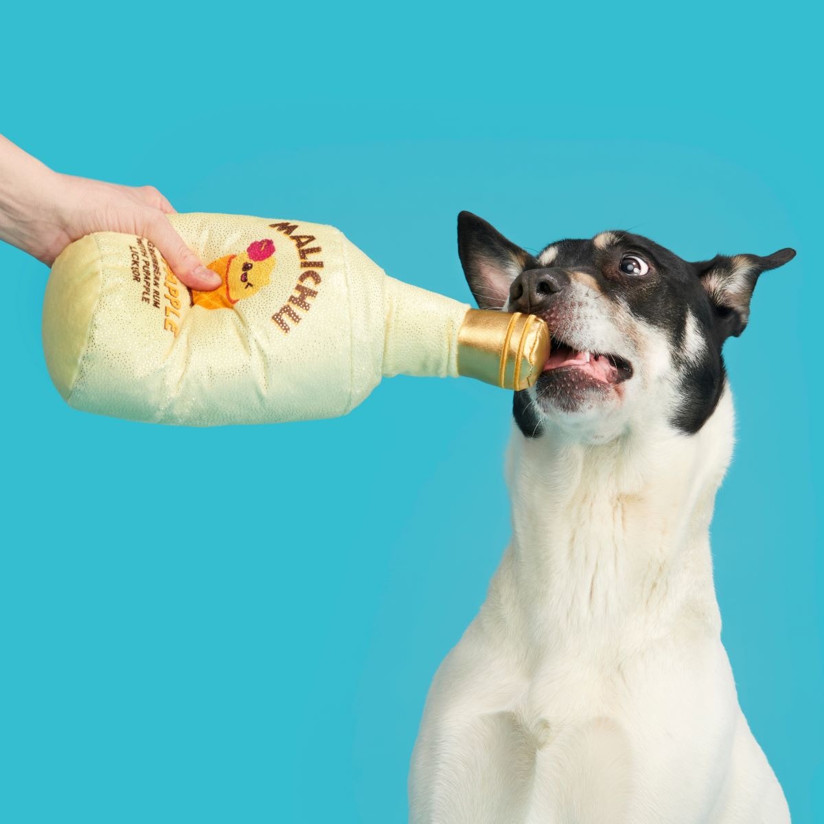 Malichu Rum Plush Extra-Large + Tug Dog Toy