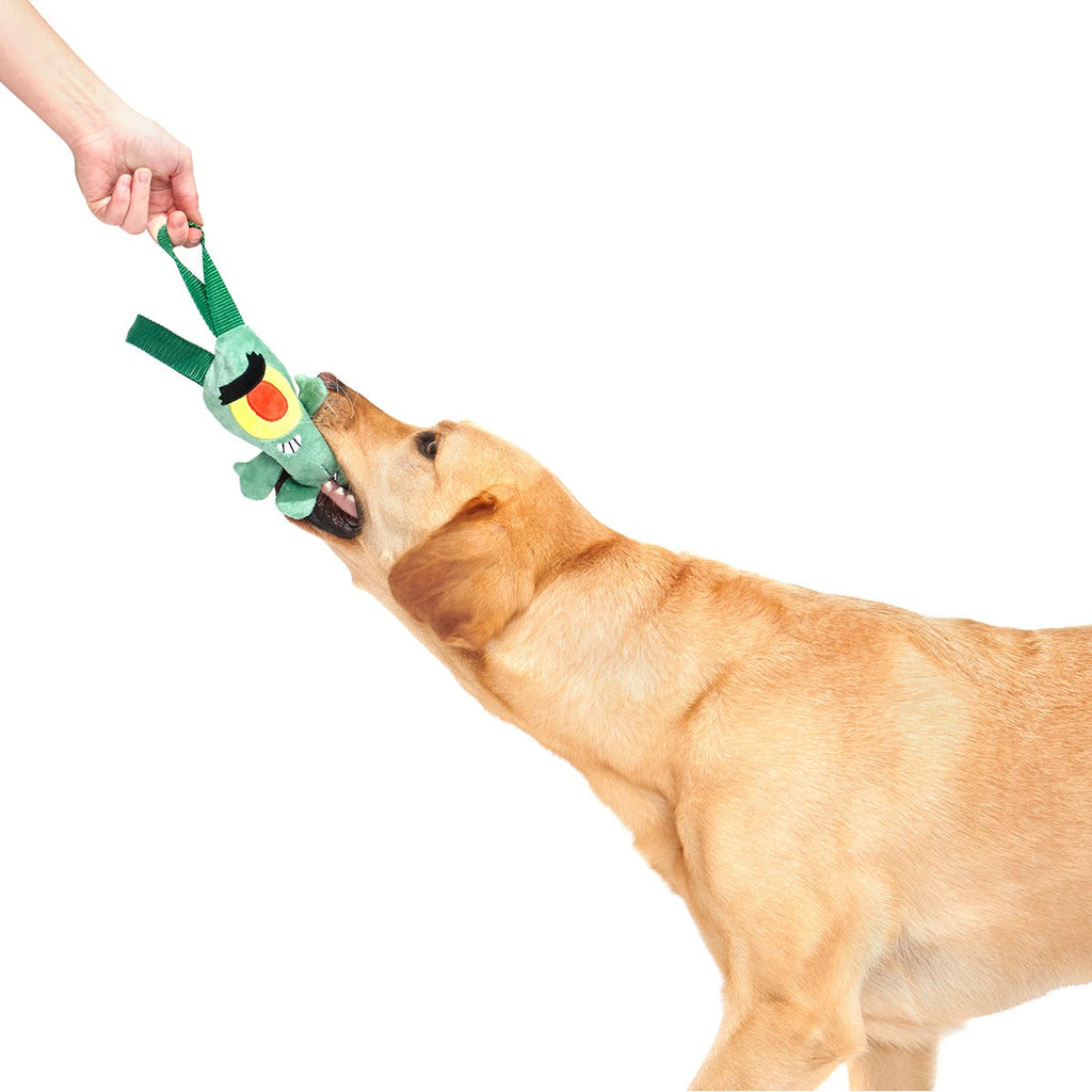 Sheldon J. Plankton Plush Tug Dog Toy