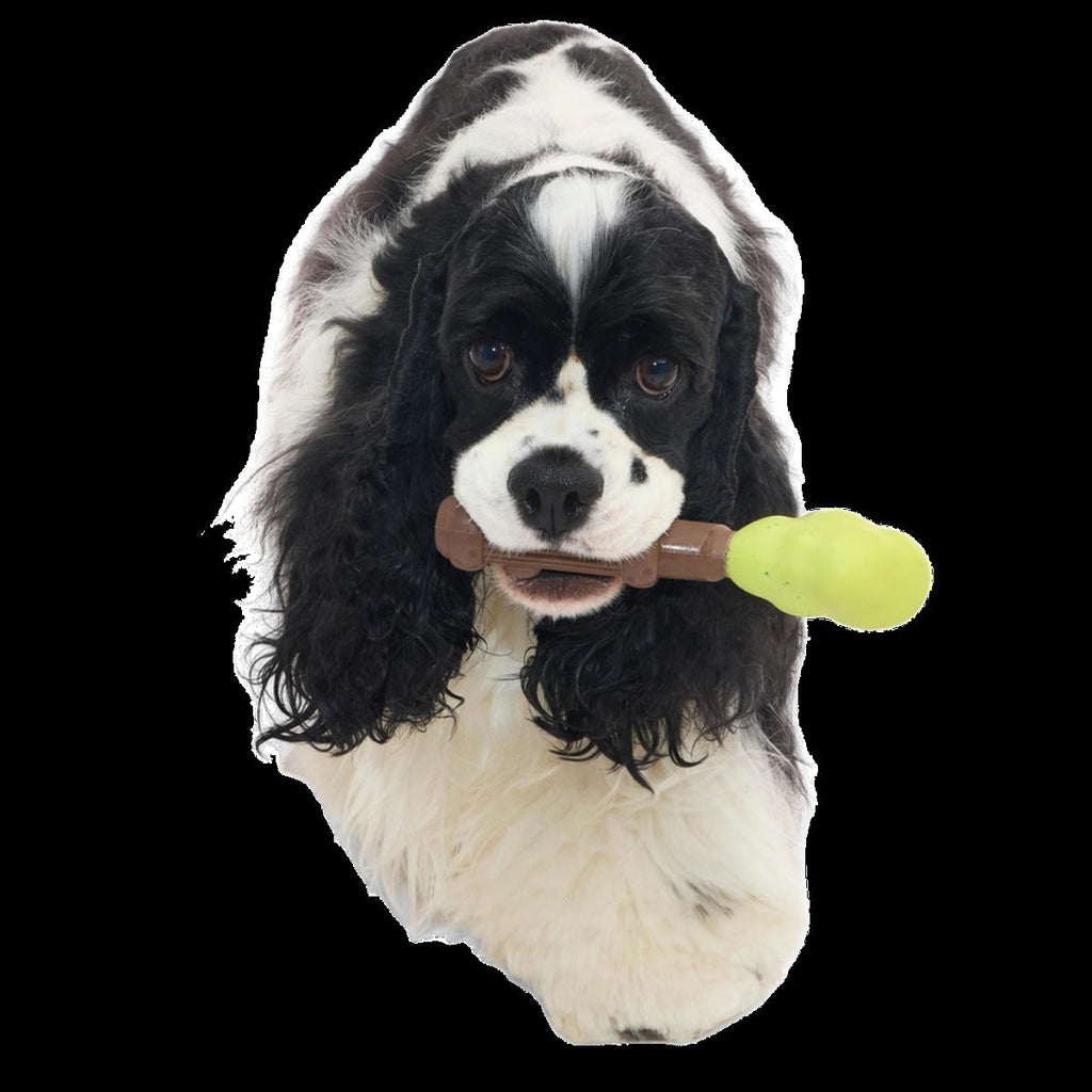 Harry's BogeyTM Wand Super Chewer Durable Gnaw Dog Toy