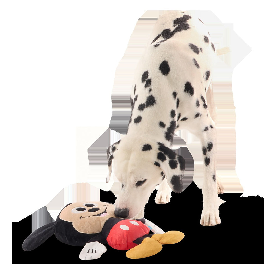Biggest Pal Mickey Plush Extra-Large + Tug Dog Toy