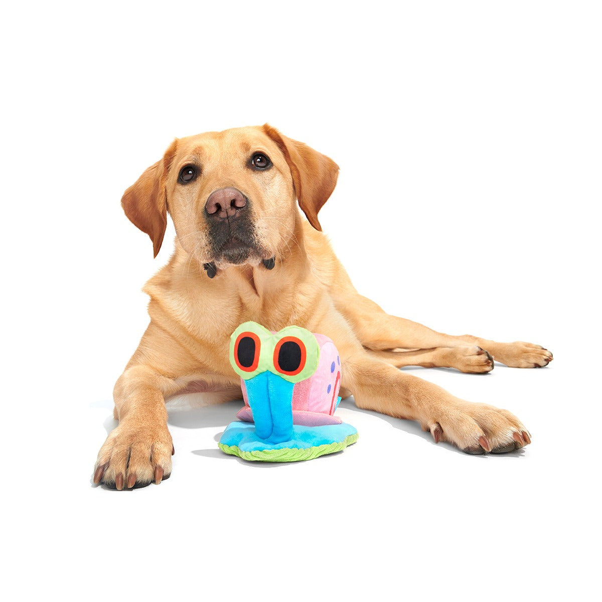 Gary the Snail Plush Tug Dog Toy