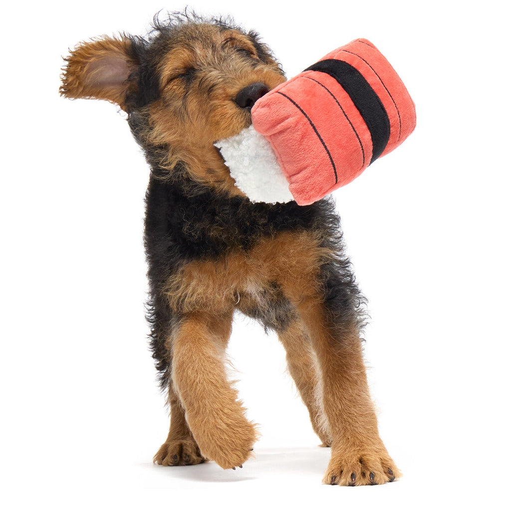 Super Tasty Tuna Sushi Plush Dog Toy