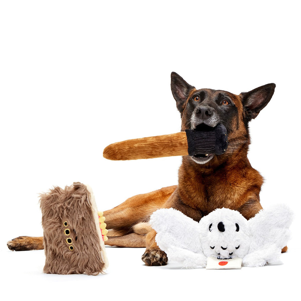 HARRY POTTERTM BarkBox - One Month Gift Box