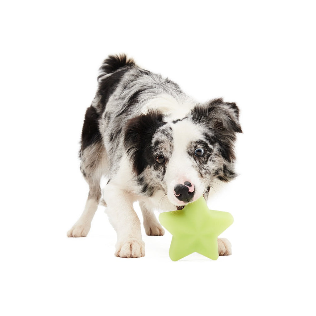 Shooting Starf Super Chewer Durable Gnaw Dog Toy