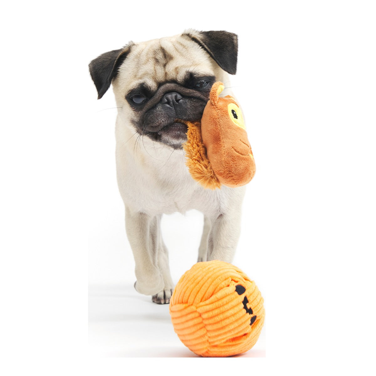 Squirrel-O-Lantern Plush Multi-Part + Enrichment Dog Toy